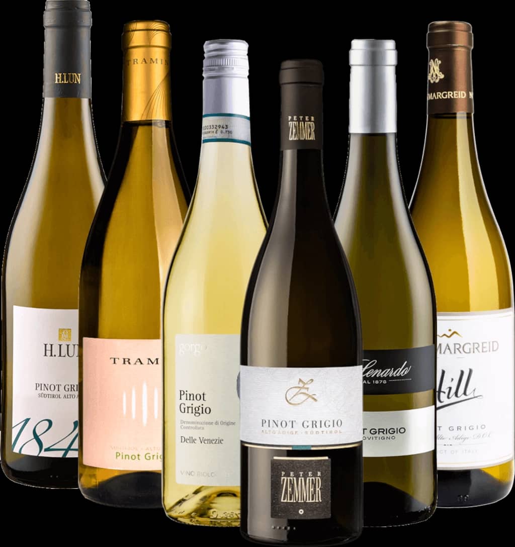 Pinot Grigio