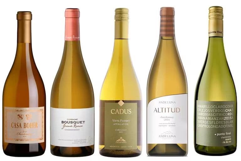 Chardonnay